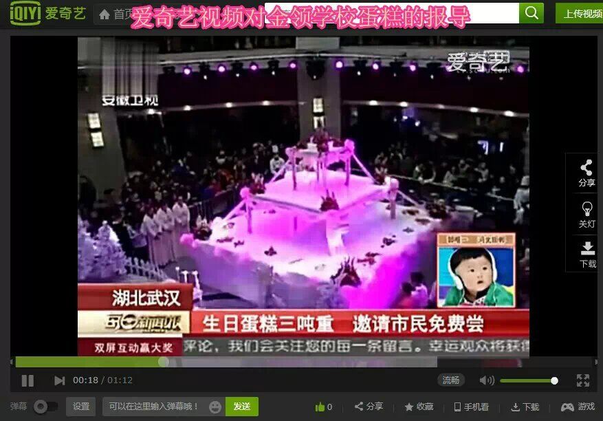 安徽卫视报道